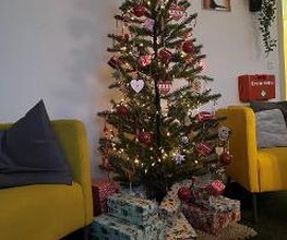 Ein geschmückter Weihnachtsbaum.