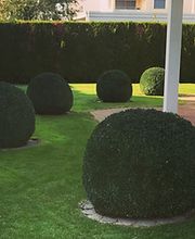 Qelaj Gartenbau GmbH Bild 1