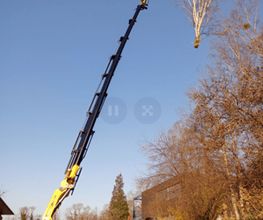 Mammutholzerei GmbH Bild 5