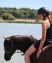 Les Poneys de Monthoiron image 9