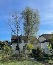 Paulin Jérôme SASU image 4