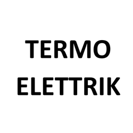 Termo Elettrik logo