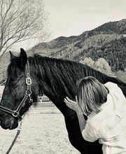 Nicola Annaberger, Pferdeosteopathie Oberland, Pferdephysiotherapie Oberbayern, Pferdeosteopathie Oberbayern, Osteo Pferd Bild 9