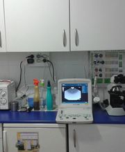 Centro Veterinario Nuevo Versalles imagen 1