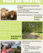 A&C Immobilier image 11