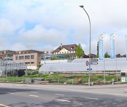 Heilsarmee Buchseegut Bild 10