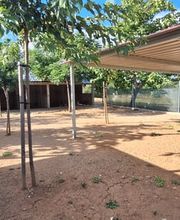 Adiestramiento Córdoba imagen 8