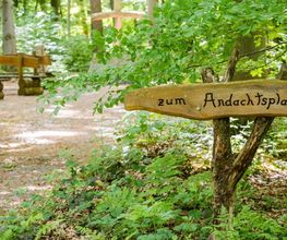 Schilder im Wald helfen bei der Orientierung.