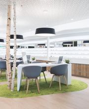 Koppelmann Optik und Akustik Bild 2