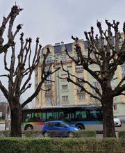 Entrepreneur Travaux Forestiers Petitgirard image 1