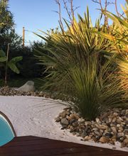 Batimat Distribution image 18