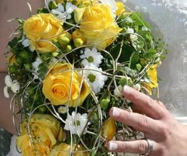 Blumen Krippner Bild 8