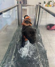 Clinique Veterinaire Saint Christophe image 5