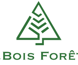 B Bois Forêts image 9