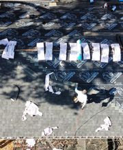 843 Roof LLC image 3