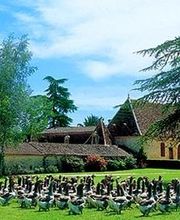 Domaine de Barbe image 7