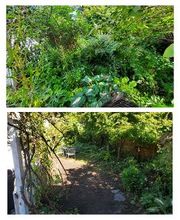Fiorella Lawn & Landscaping image 5