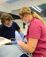 Dr. med. dent. Gottschlich Martin Bild 10