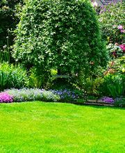 PIZZOLI DAMIEN PAYSAGISTE image 3