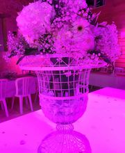 Audrey Fleurs image 11