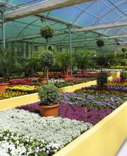 Fantastic Gardens imagen 4