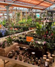 HORNBACH Gartencenter Bamberg Bild 1