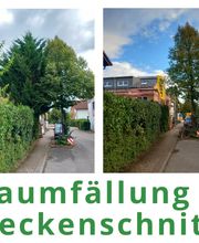 HVD_Hecke_Baum.jpg