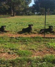 Pension De La Rosée Du Soleil image 2