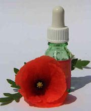 krause flora URESSENZEN Bild 2