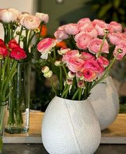 Köpfer Blumenhaus GmbH Bild 5