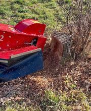 Gartenpflege & Landschaftspflege Sommer Bild 3