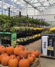 Tractor Supply Co. image 2