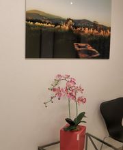 Dr. med. Widmer Christian Bild 8