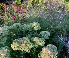 Vogel Gartenbau AG Bild 8