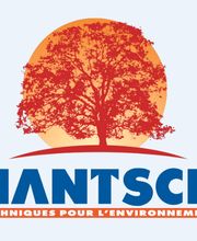Hantsch image 3