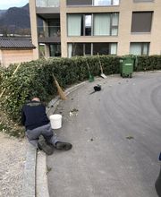 Aemmer Räumungen Bild 6