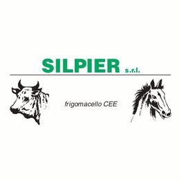 Silpier Srl logo