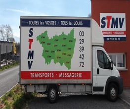 STMV image 1