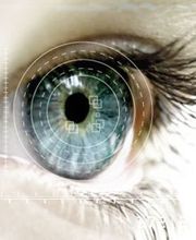 Meyer Isabelle image 1