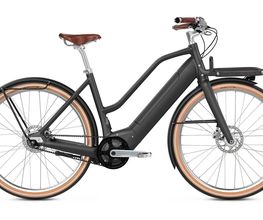 E-Bike-Leasing.eu | Wismar Bild 7