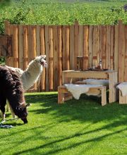 Zaunteam Zürich Oberland Bild 5