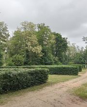 Vert & Taille image 11