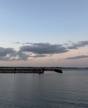 Fruits & Harvest  Digitalagentur Flensburg  Köln Bild 1