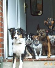 Die Hundegarten - "Kinder"
