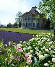 Rothenbühler Gartenbau AG Bild 3