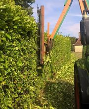 Arborie Parcs Et Jardins image 4