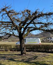 Gartenservice Mark Miess Bild 22