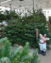 Prévet Paysages image 19