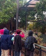 Self Development Academy (Phoenix Campus) image 10