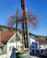 Arnold-Arnold GmbH Bild 3